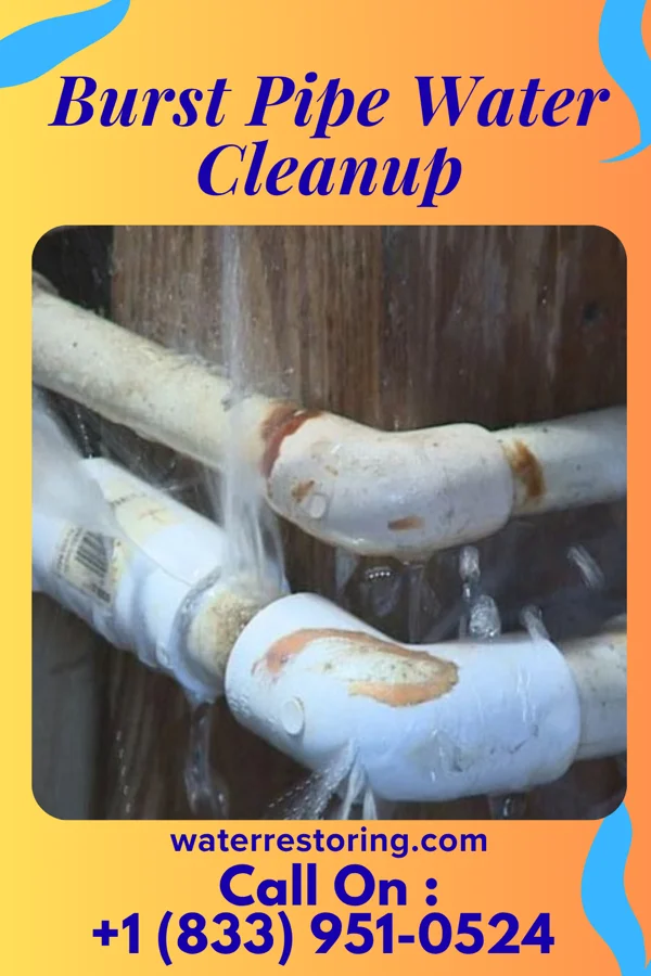 Burst Pipe Water Cleanup in Fayette City, PA