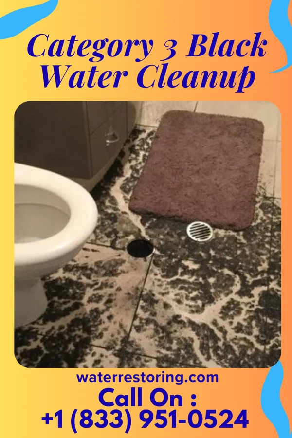 Category 3 Black Water Cleanup in Fayette City, PA