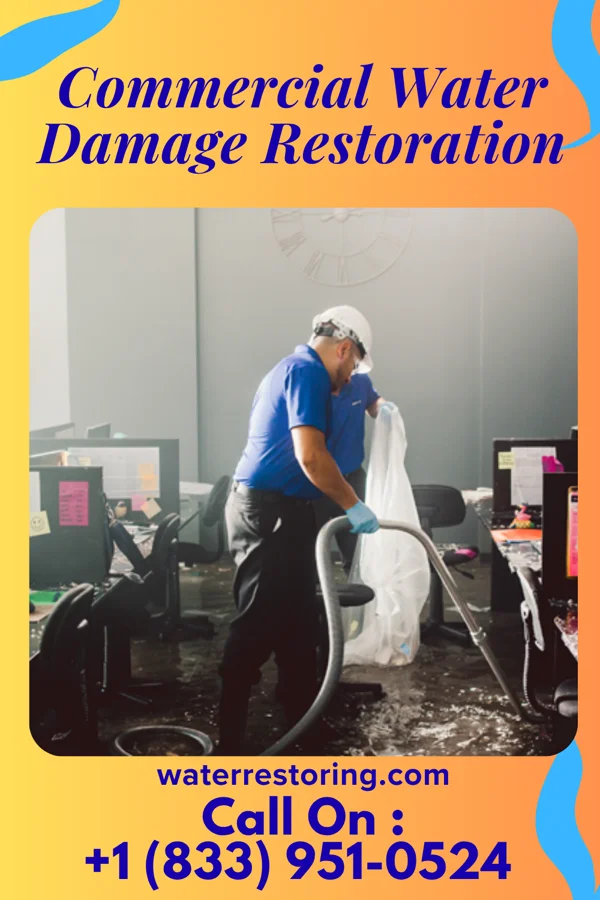 Commercial Water Damage Restoration in Fayette City, PA