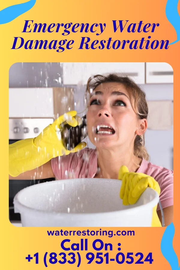 Emergency Water Damage Restoration in Fayette City, PA
