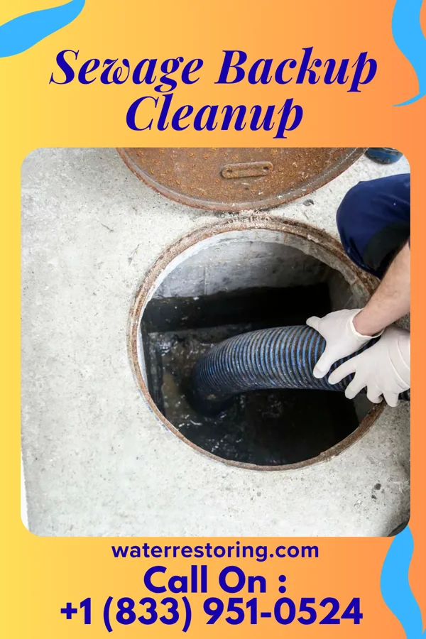 Sewage Backup Cleanup in Fayette City, PA