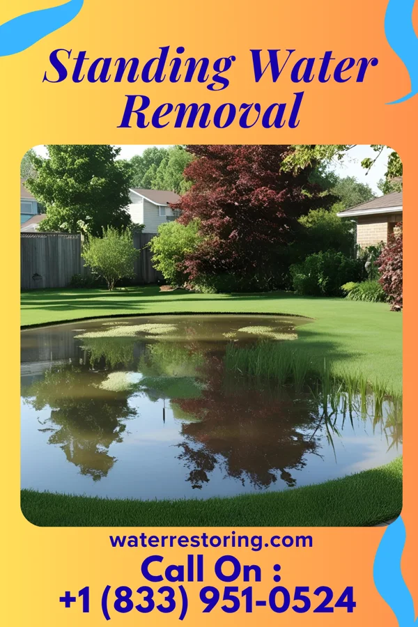 Standing Water Removal in Fayette City, PA